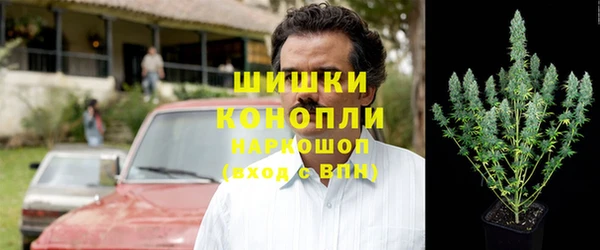 тгк Каменка
