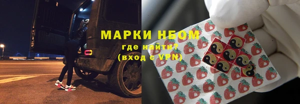 тгк Каменка