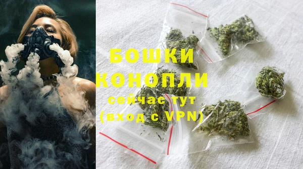 тгк Каменка