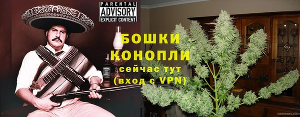 тгк Каменка