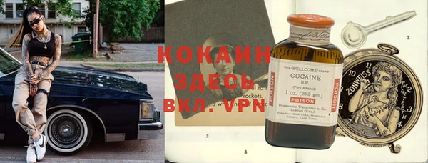 тгк Каменка