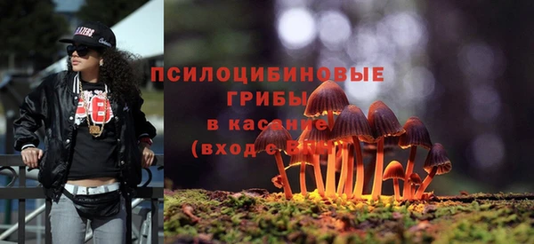 тгк Каменка