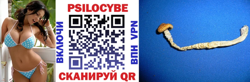 Купить где  Анадырь  Псилоцибиновые грибы мухоморы 